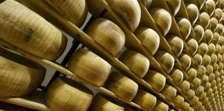 Parmigiano Reggiano, oltre 5 mila visitatori per “Caseifici Aperti”