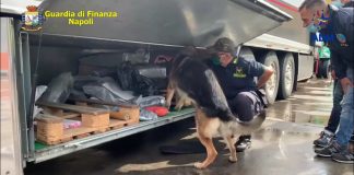 Sequestrati al porto di Napoli 130 kg di hashish, due arresti