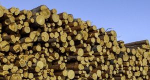Federlegnoarredo, filiera al top in Europa per sostenibilità