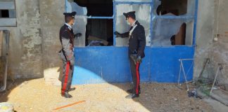 Occupava abusivamente un’abitazione di Pegognaga: arrestato un 32enne