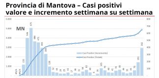 Covid, ecco l’evoluzione nel mantovano da inizio pandemia