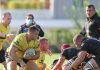 Rugby Coppa Italia – Esordio allo Zaffanella per il Viadana. Domani derby contro Reggio