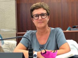 Crisi di governo, Forattini (Pd): “Lega e Forza Italia danneggiano il nord”