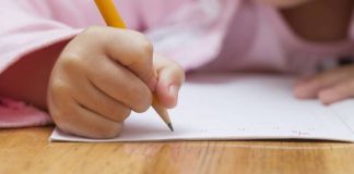 Lettera di una bimba a Palazzi: “Fai avere due permessi per S. Lucia e l’asinello”