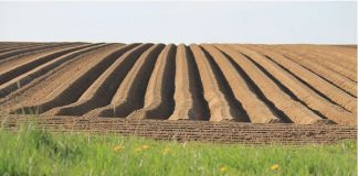Per Nestlè obiettivo zero emissioni entro il 2050