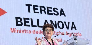 Governo, Bellanova “Se cade ora dipende da Conte, aspettiamo risposte”