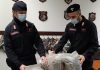 Trovati con 4 kg di marijuana. Arrestati padre e figlio. Domani compariranno davanti al Gip