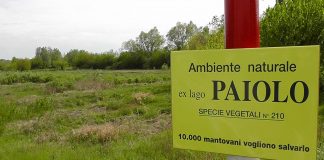 Zolezzi: “Depositata interrogazione al Ministero dell’Ambiente per l’area ex Lago Paiolo. Va protetta” ZOLEZZI (M5S): DEPOSITATA INTERROGAZIONE AL MINISTERO AMBIENTE PER AREA EX LAGO PAIOLO. L’AREA VA PROTETTA.