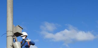 Falco grillaio, E- distribuzione installa sulle linee elettriche 100 nidi sicuri per aiutare la conservazione della specie