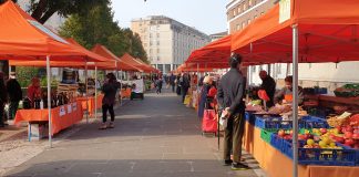 Proroga gestione mercato contadino, il TAR dà ragione a Comune e Consorzio Agrituristico