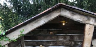 Vandalizzato il presepe di San Martino dall’Argine. Il responsabile un ragazzo del paese