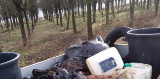 Il bosco dei ciliegi tra Bozzolo e San Martino trasformato in discarica