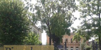 Centro Culturale Piazzalunga, un 2020 all’insegna del Covid e tante novità per i cittadini