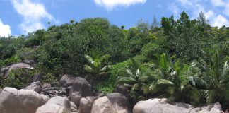 Le Seychelles riaprono ai turisti ma solo se vaccinati Covid Le Seychelles riaprono ai turisti ma solo se vaccinati Covid