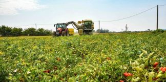 Accesso al credito, Coldiretti Mantova ponte fra impresa agricola e banche