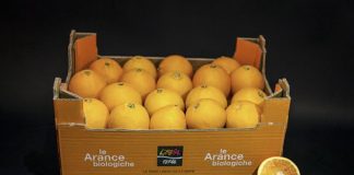 Consorzio Agrituristico Mantovano, tornano le arance della legalità. Al via da domani le prenotazioni