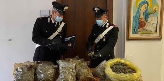 Beccato con 118 kg di marijuana: arrestato 60enne mantovano