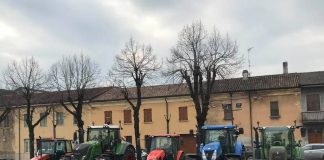 Sant’Antonio Abate: a Bozzolo la benedizione dei trattori e degli animali domestici