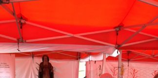 Sant’Antonio ai mercati contadini: statua lignea del XV secolo, benedizione e immagini del Santo