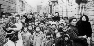 Shoah, dalla stazione ferroviaria di Mantova un percorso attraverso i luoghi della Memoria Giornata della memoria, l'Anpi si mobilita in tutta la provincia