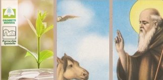 Coldiretti: “Ambiente, territorio e impresa fondamenti dell’economia sociale” Coldiretti,: "Ambiente, territorio e impresa fondamenti dell'economia sociale"