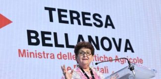 Bellanova: “O si cambia metodo o le persone”