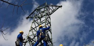Terna prima electric utility al mondo nel Dow Jones Sustainability Index