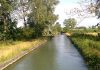 Partiti i lavori per il rifacimento delle sponde del Virgilio a Volta Mantovana Un tavolo tecnico per la navigabilità del canale Virgilio. Ma sul progetto sono tanti i dubbi e le critiche