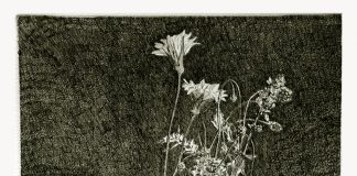 “Leonardo Castellani. 50 anni di incisioni: 1935-1984”: inaugura sabato alla Galleria Sartori la mostra del Maestro Leonardo Castellani