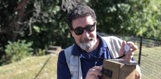 Amici di Palazzo Te, Scuola delle arti: sabato “Ritratto in Fotografia”prima lezione on line del nuovo corso