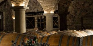 “Il senso della passione”: alla Cantina Ricchi un San Valentino nel segno di romantici percorsi sensoriali "Il senso della passione": alla Cantina Ricchi un San Valentino nel segno di romantici percorsi sensoriali