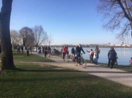 Riqualificazione parco periurbano laghi di Mantova, sì allo studio di fattibilità