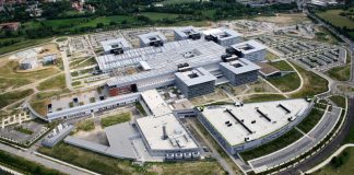 Investito da un albero mentre pota le piante di un bosco a Cavriana, in ospedale un 36enne