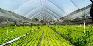Assobenefit e AssoBio insieme per promuovere la sostenibilità integrale