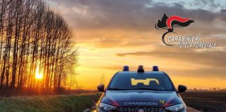 Furto in un bar di Castelbelforte: i Carabinieri denunciano tre giovani georgiani