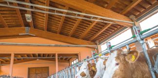 Da Regione Lombardia un nuovo bando da 1,5 milioni per i giovani agricoltori