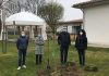 Gonzaga, il Rotary dona nuove piante alle scuole dell’infanzia