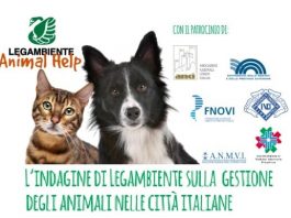 Mantova prima tra le città più amiche degli animali. Ottima per organizzazione e servizi