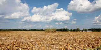 Siccità, Forattini (Pd): “Problema sottovalutato per anni. Fontana chieda lo stato d’emergenza”