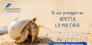 “Adotta una spiaggia”, al via la nuova campagna di Marevivo
