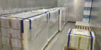 Vaccini, 2,5 milioni di dosi in arrivo in Italia