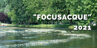 “Focusacque 2021”, il Parco del Mincio lancia una call fotografica per raccontare l’acqua