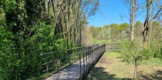 Castiglione, Parco del Mincio ha concluso la manutenzione in zona Valle