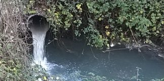 Regione, Forattini (Pd): “Via libera al controllo degli scarichi nelle acque lombarde”