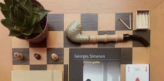 Gonzaga: iniziativa social per promuovere lettura e commercio. Ecco come