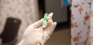 Vaccinati a domicilio una quarantina di centenari mantovani. Domani tocca ai 90enni Vaccino, l'immunologa Viola: "Errore allungare tempo tra prima dose e richiamo"