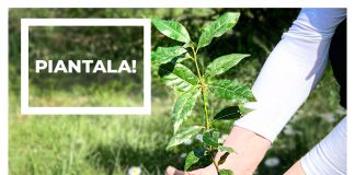 Le azioni che rispettano l’ambiente diventano social: al via la campagna ambientale”#IoCuroSuzzara”