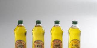 Alla Casa del Mantegna si riparte con le opere di Joseph Beuys