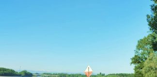 Viadana: Protezione Civile e Sesa insieme contro l’abbandono dei rifiuti