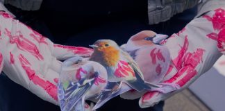 Caccia, Flash Mob. Fiasconaro (M5S Lombardia): “Peggiorata la legislazione venatoria”